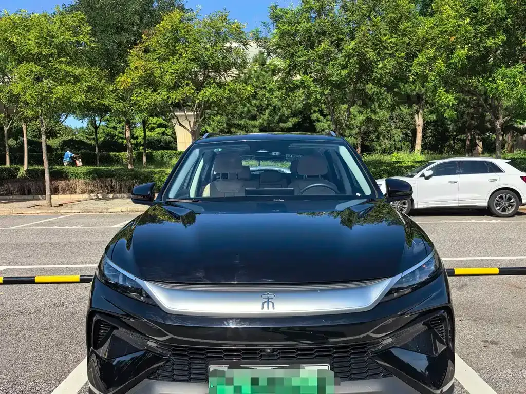BYD Pro New Energy — фото 6