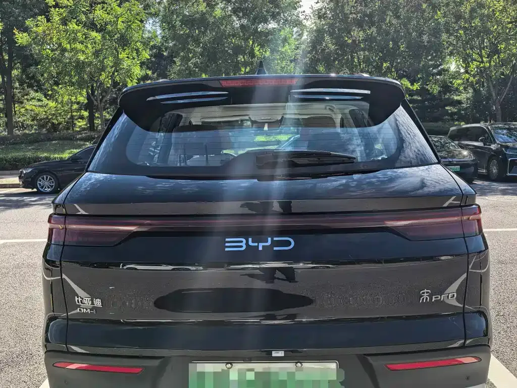 BYD Pro New Energy — фото 9