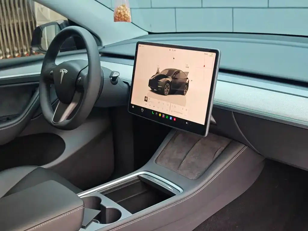 Tesla Model Y — фото 10