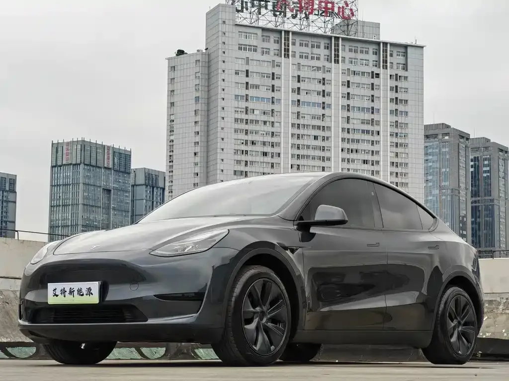 Tesla Model Y — фото 1
