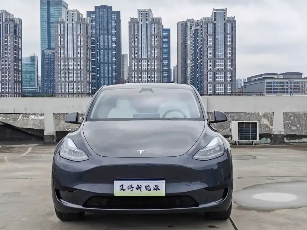 Tesla Model Y — фото 2