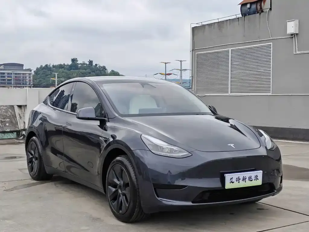 Tesla Model Y — фото 8