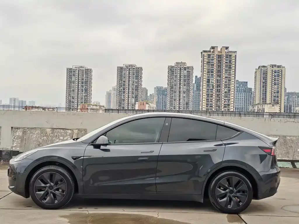 Tesla Model Y — фото 3