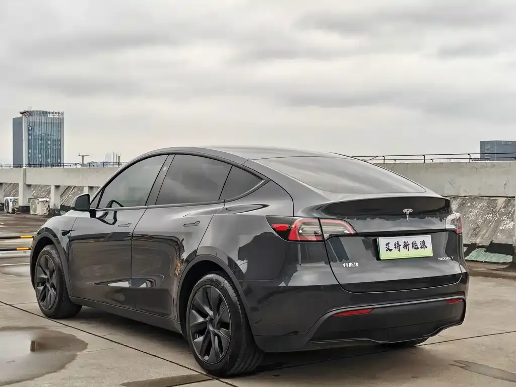 Tesla Model Y — фото 6
