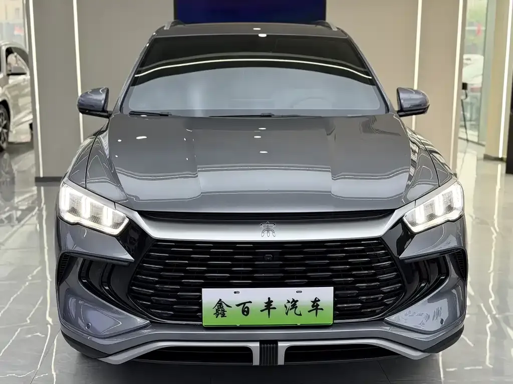 BYD Pro New Energy — фото 2