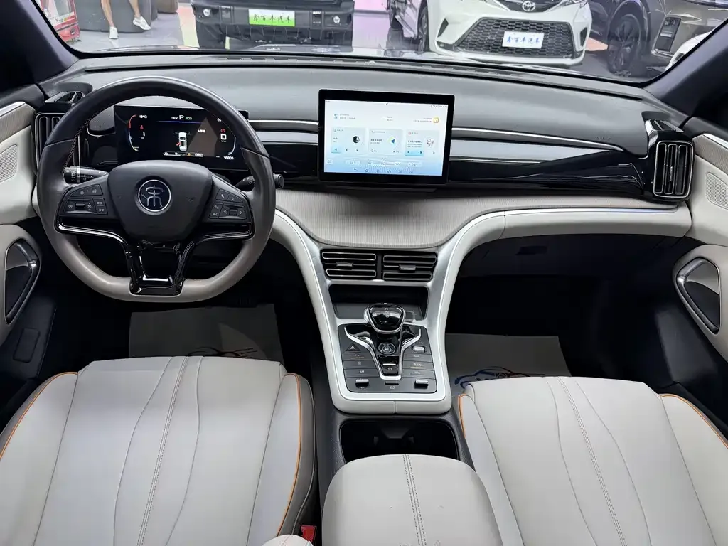 BYD Pro New Energy — фото 8