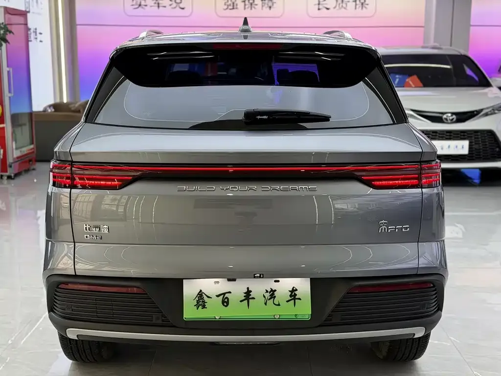 BYD Pro New Energy — фото 9