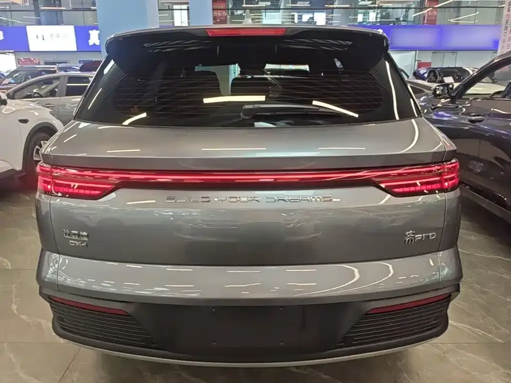 BYD Pro New Energy — фото 4