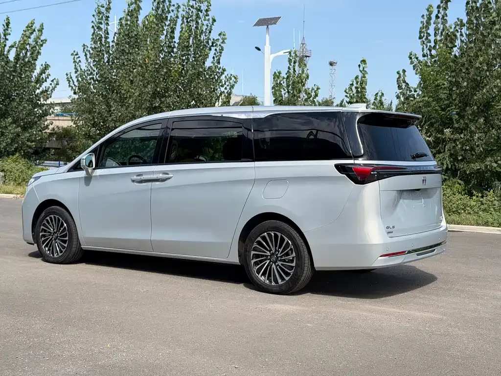 Buick GL8 Hybrid — фото 8