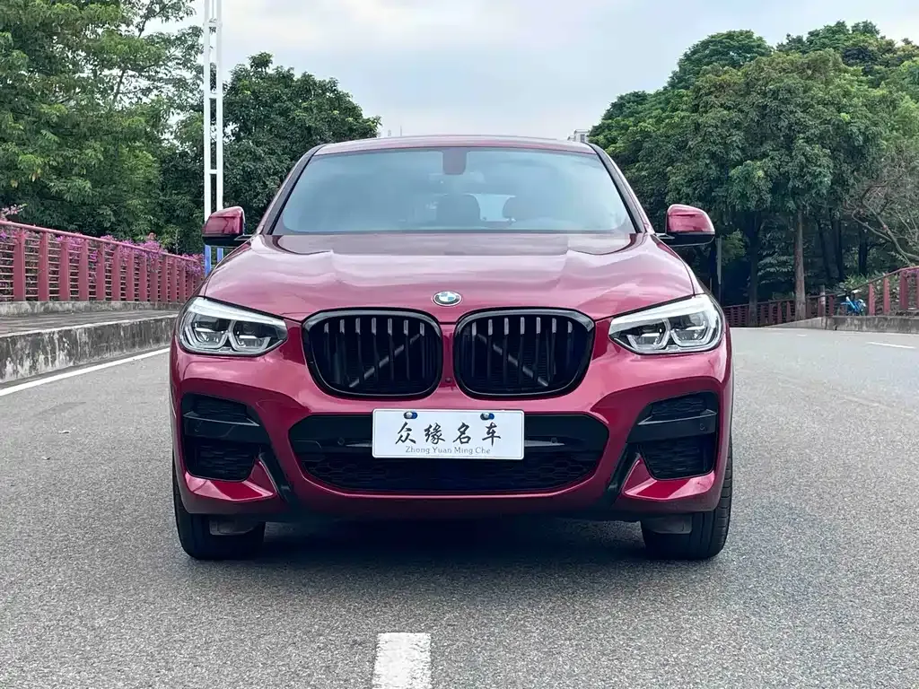 BMW X4 — фото 10