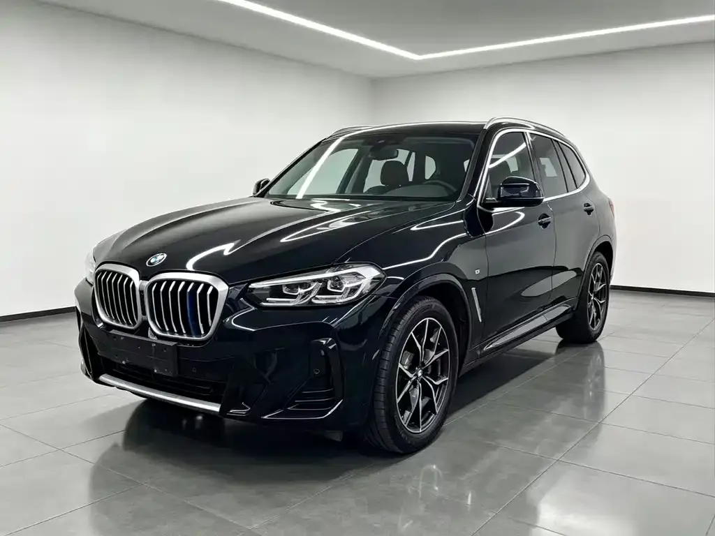 BMW X3 — фото 1