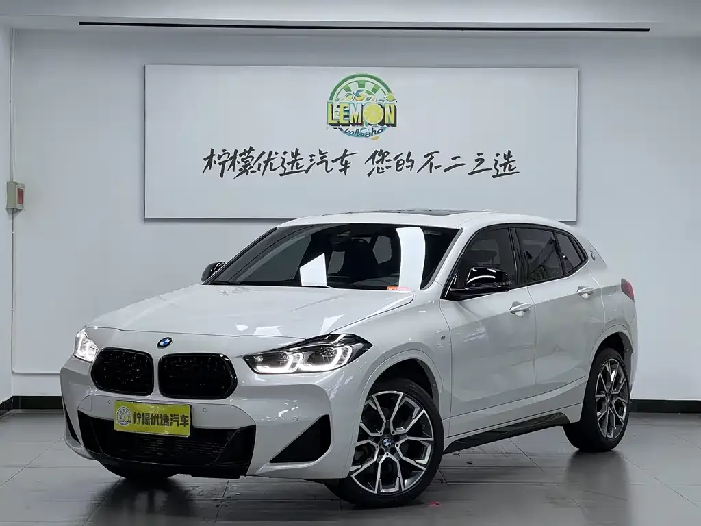 BMW X2 — фото 8