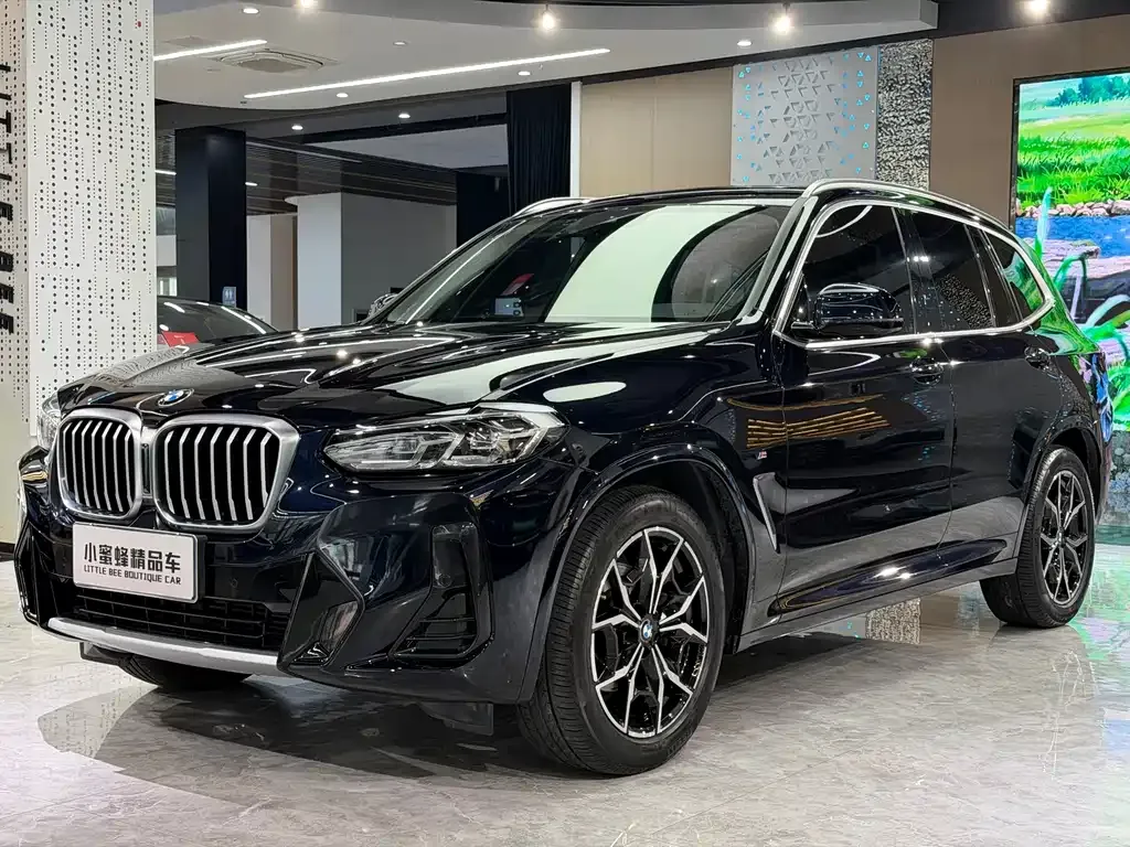 BMW X3 — фото 1