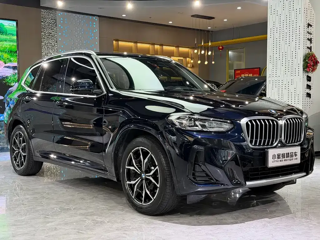 BMW X3 — фото 8