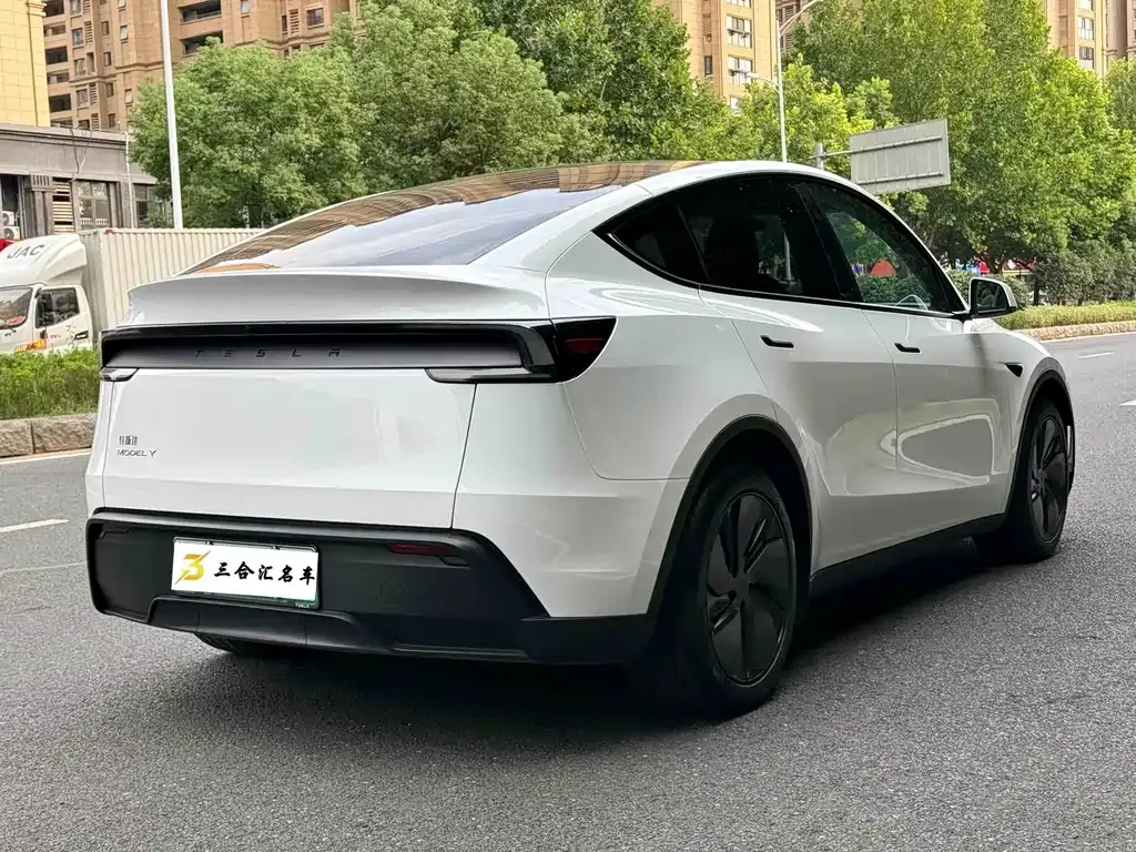 Tesla Model Y — фото 10