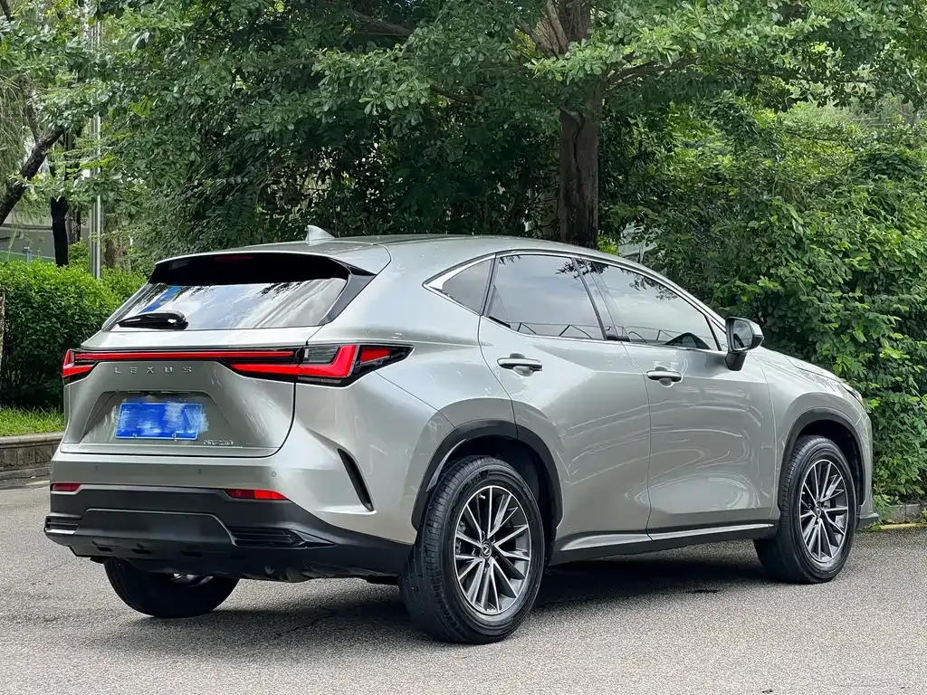 Lexus NX — фото 10