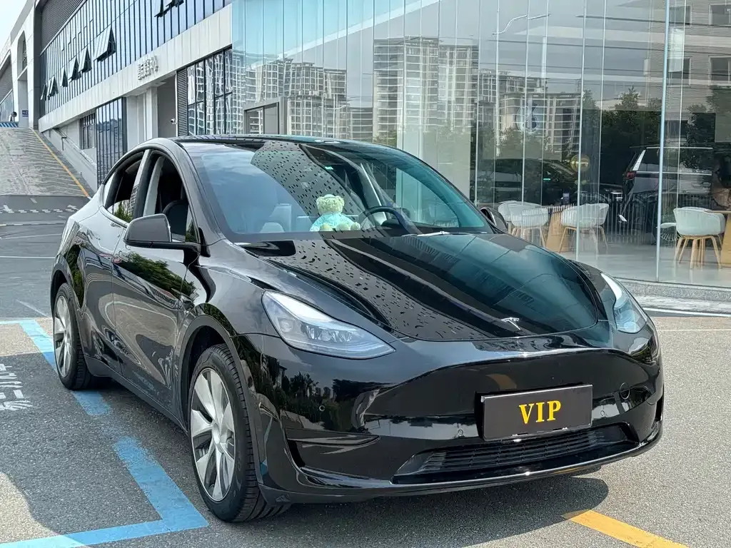 Tesla Model Y — фото 10