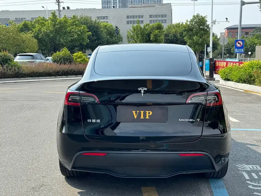 Tesla Model Y — фото 8