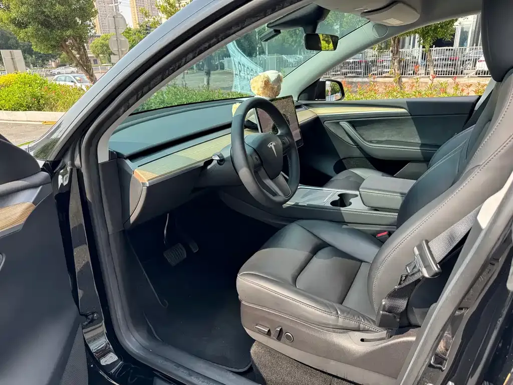 Tesla Model Y — фото 3