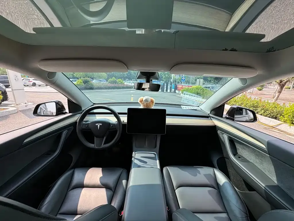 Tesla Model Y — фото 2