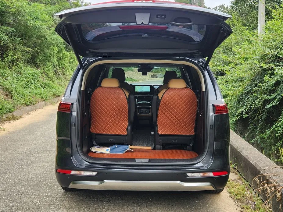Kia Carnival — фото 10