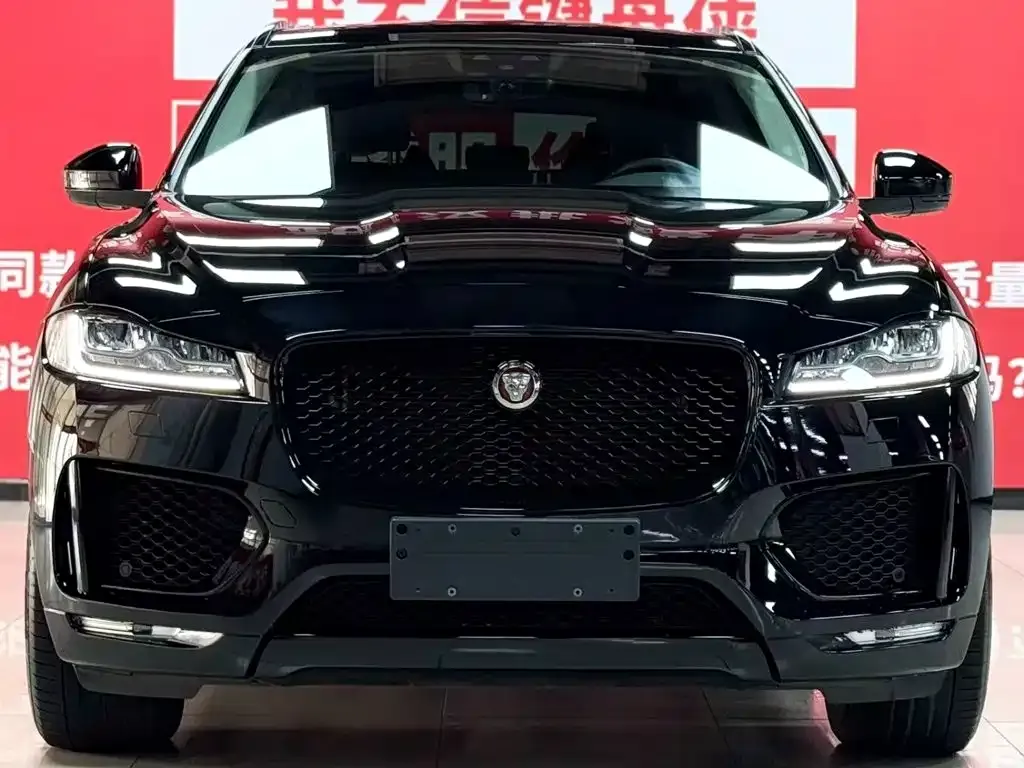 Jaguar F-PACE — фото 9