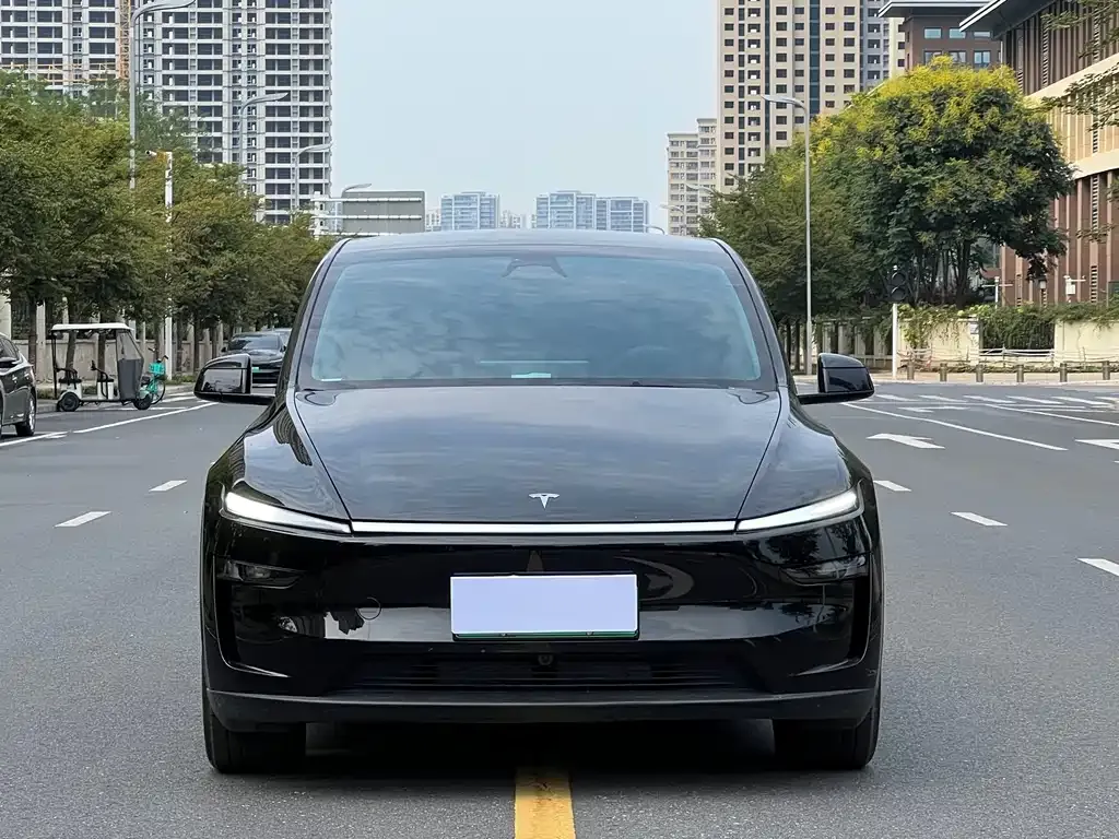 Tesla Model Y — фото 5
