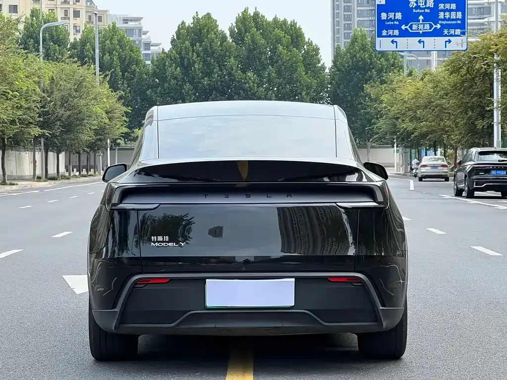 Tesla Model Y — фото 6