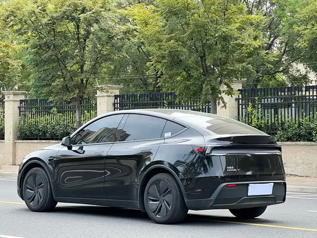 Tesla Model Y — фото 8