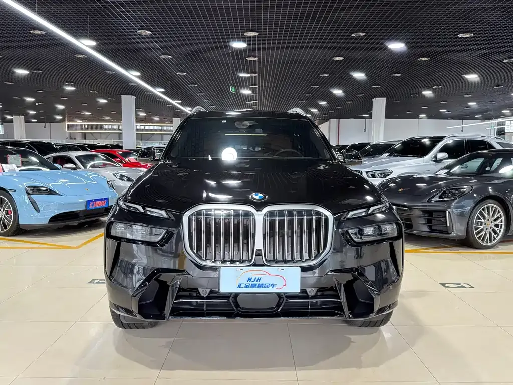 BMW X7 — фото 9