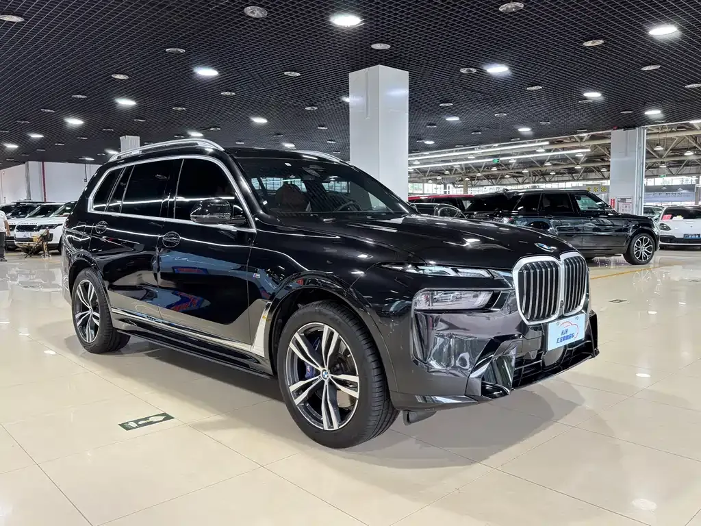 BMW X7 — фото 10
