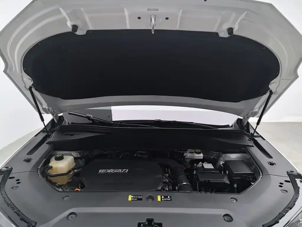 GAC Motor Trumpchi GS8 — фото 4