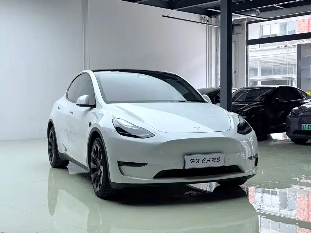 Tesla Model Y — фото 9