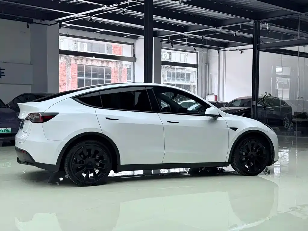 Tesla Model Y — фото 10