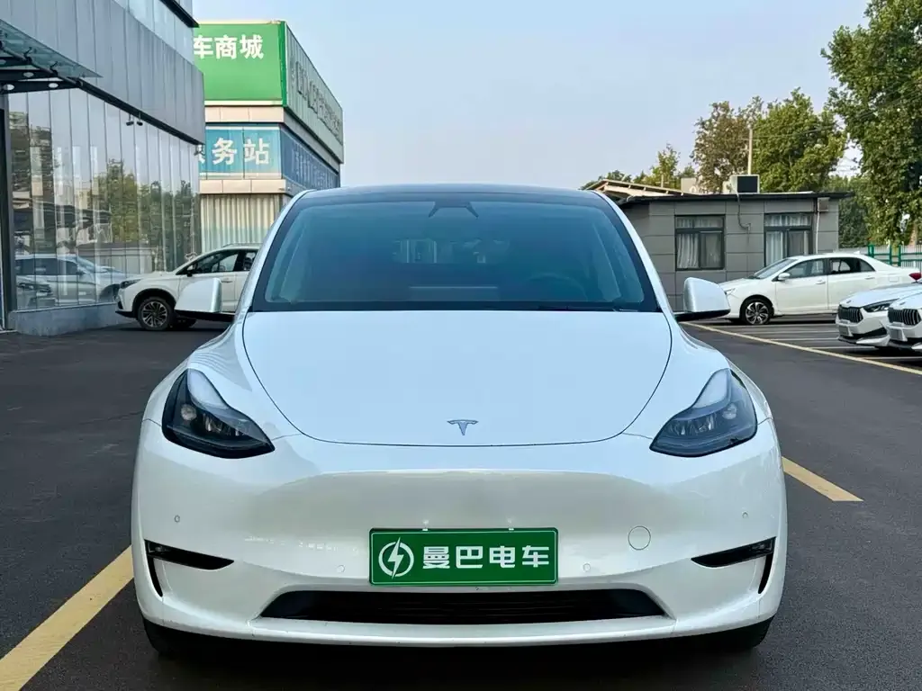 Tesla Model Y — фото 9