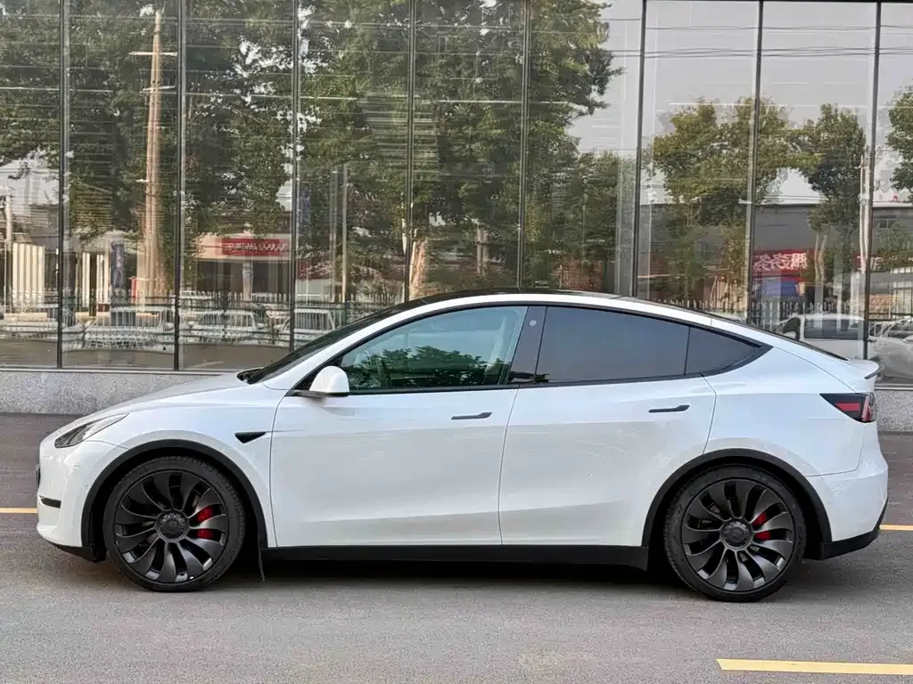Tesla Model Y — фото 3