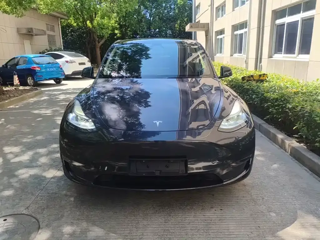 Tesla Model Y — фото 2