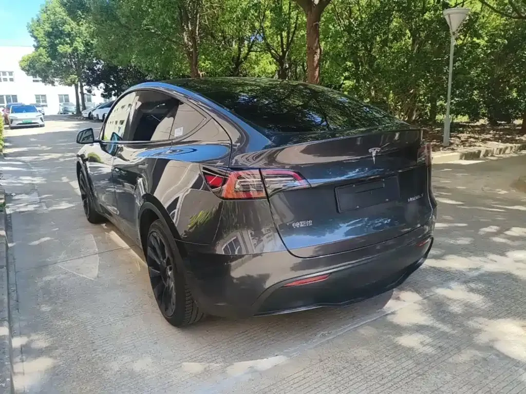 Tesla Model Y — фото 10