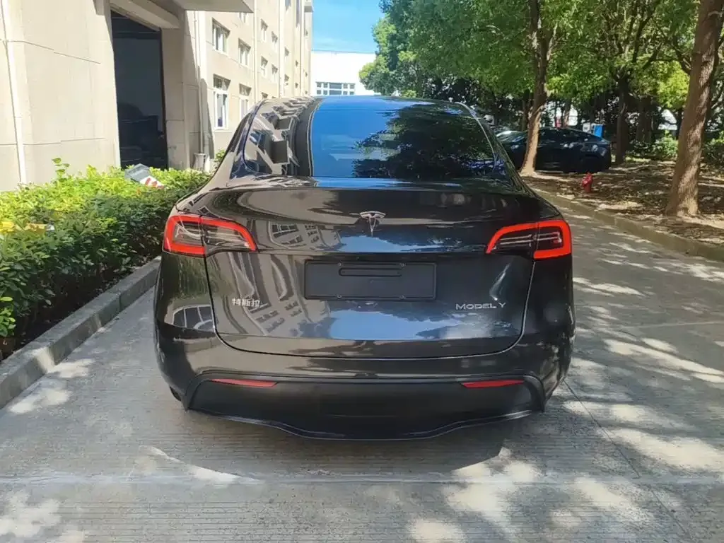Tesla Model Y — фото 9