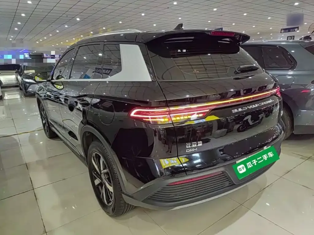 BYD Pro New Energy — фото 2