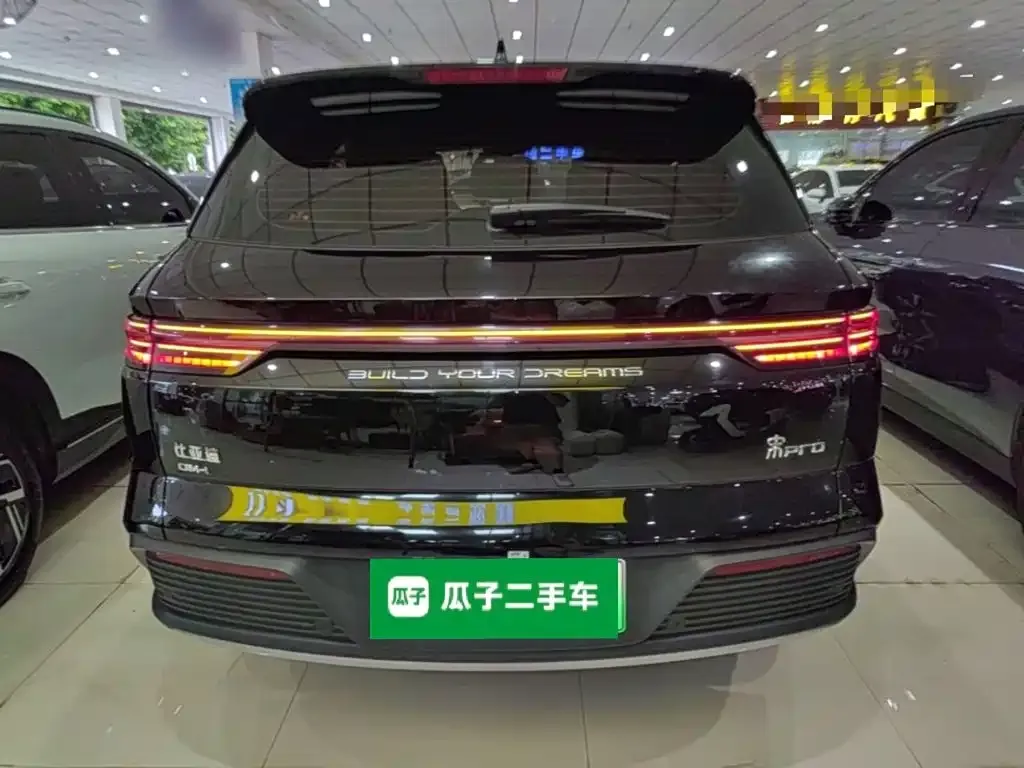 BYD Pro New Energy — фото 4