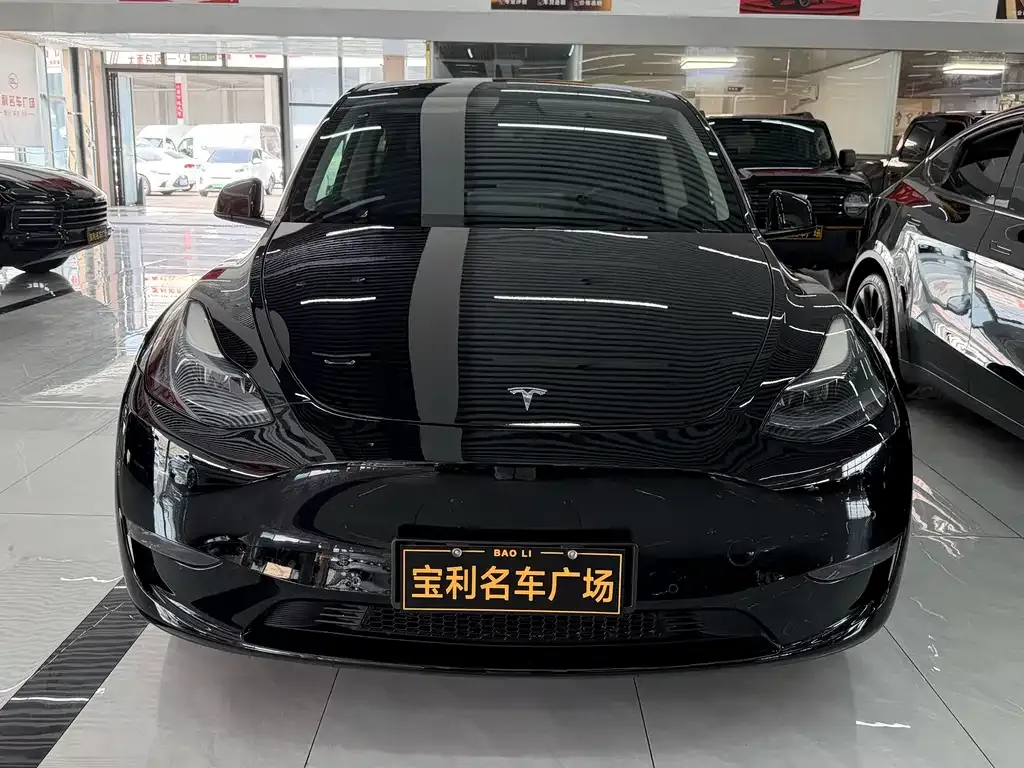 Tesla Model Y — фото 8