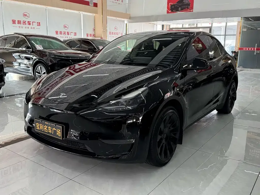 Tesla Model Y — фото 3