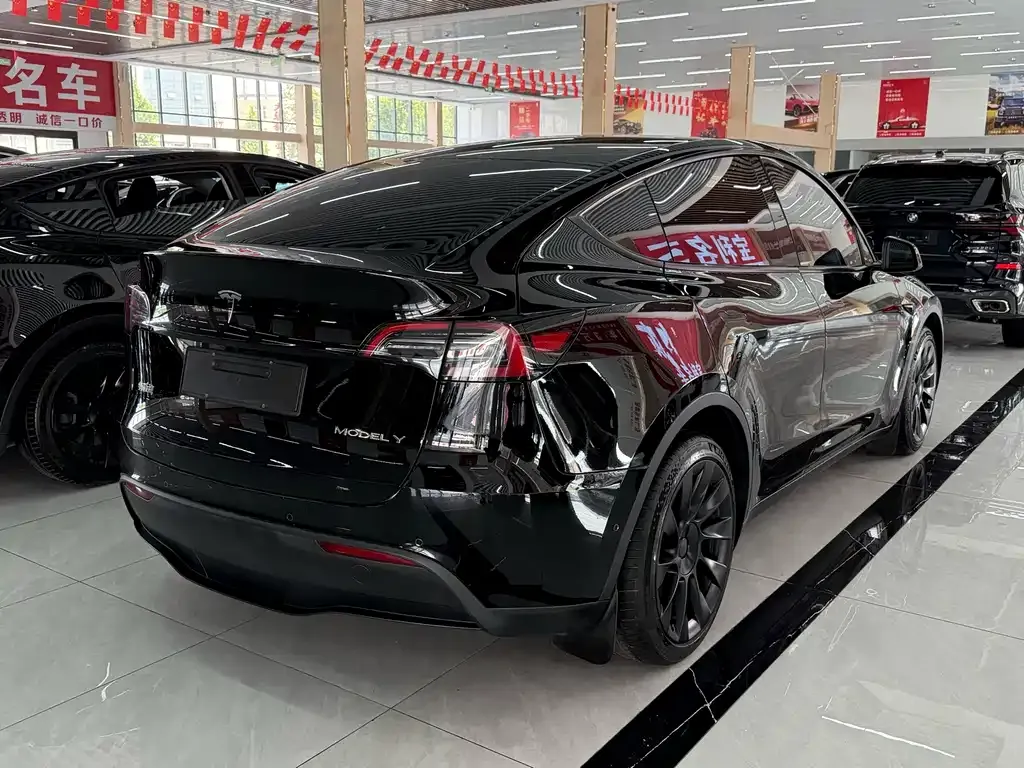 Tesla Model Y — фото 5