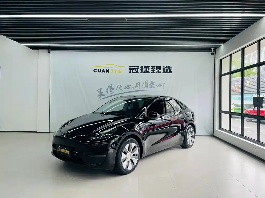 Tesla Model Y — фото 1