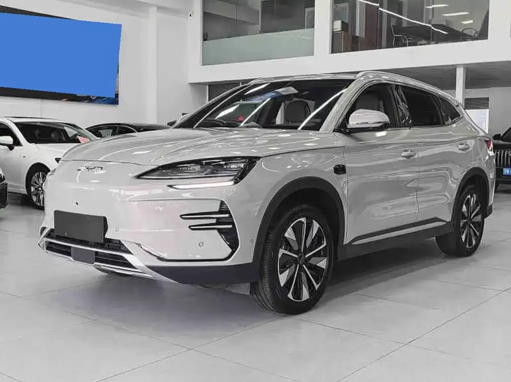 BYD PLUS New Energy — фото 1