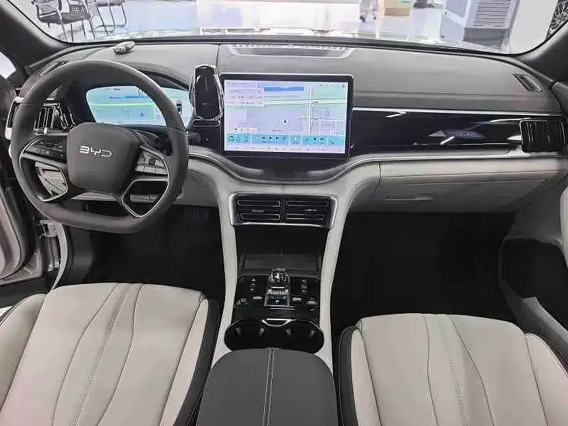 BYD PLUS New Energy — фото 5