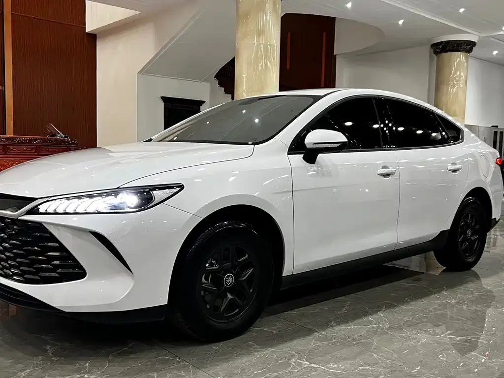 BYD Qin PLUS — фото 1