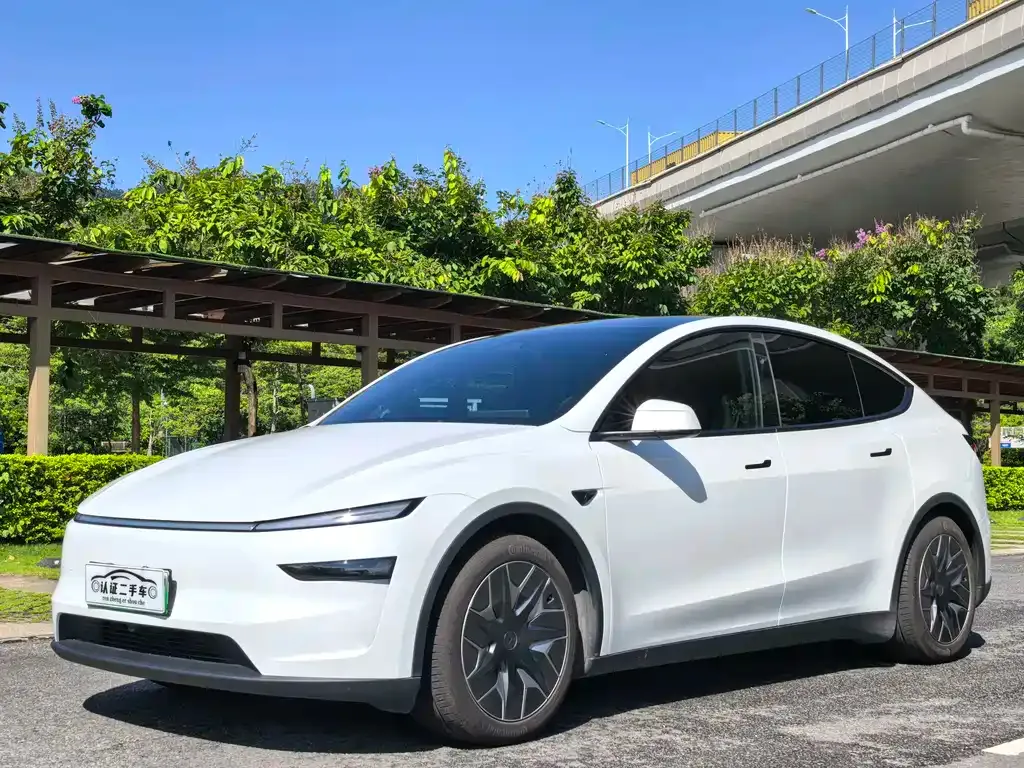 Tesla Model Y L — фото 1