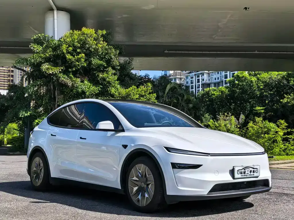 Tesla Model Y L — фото 3